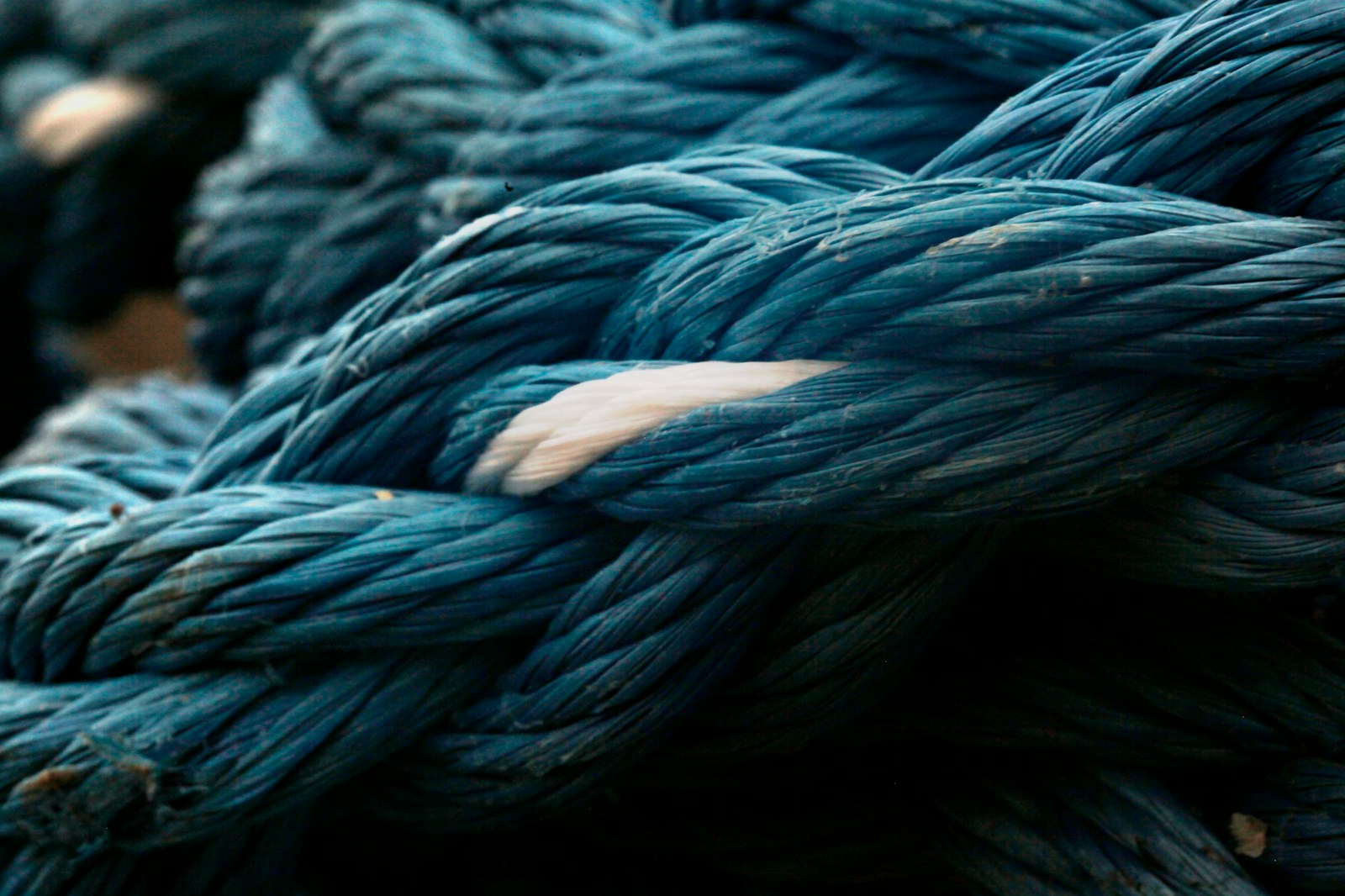 entangled blue and white ropes