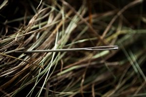 needle, hay, a needle in a haystack, metaphor, metaphor, metaphor, metaphor, metaphor, metaphor