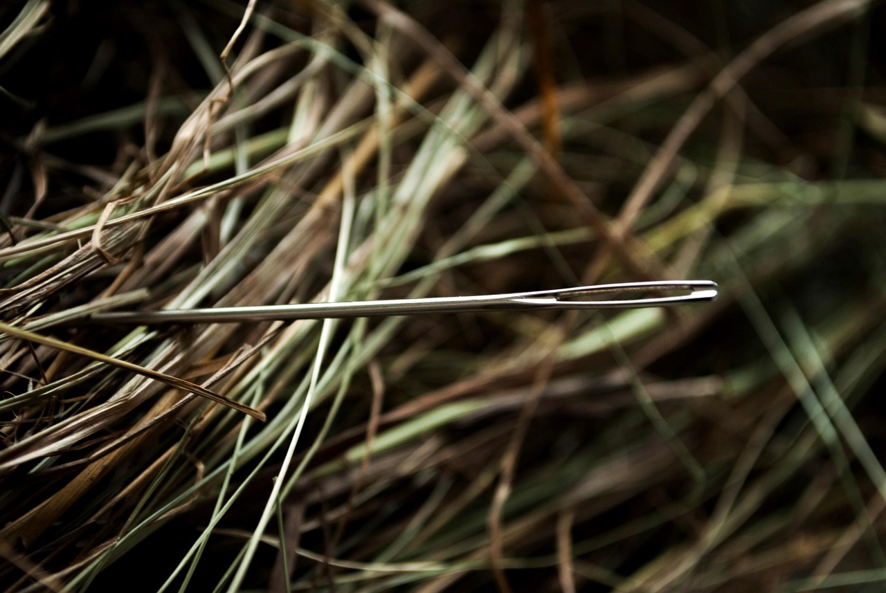 needle, hay, a needle in a haystack, metaphor, metaphor, metaphor, metaphor, metaphor, metaphor