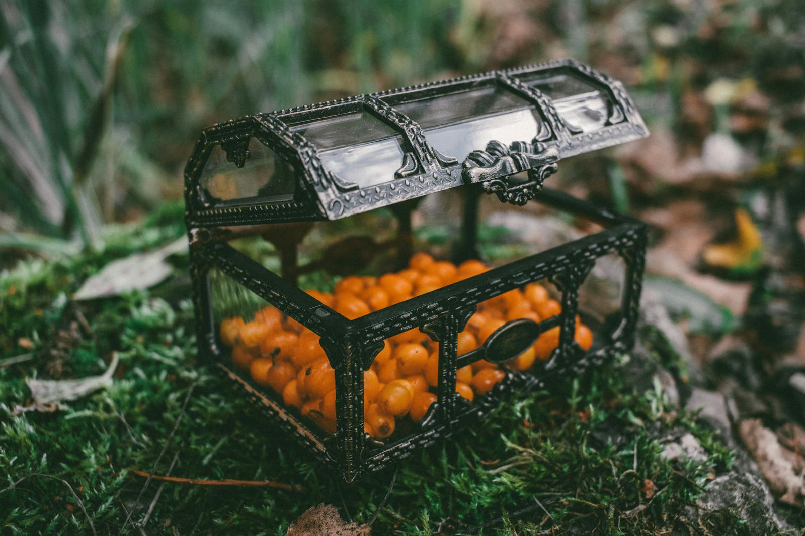 A vintage glass box full of vibrant orange berries in a lush forest setting.