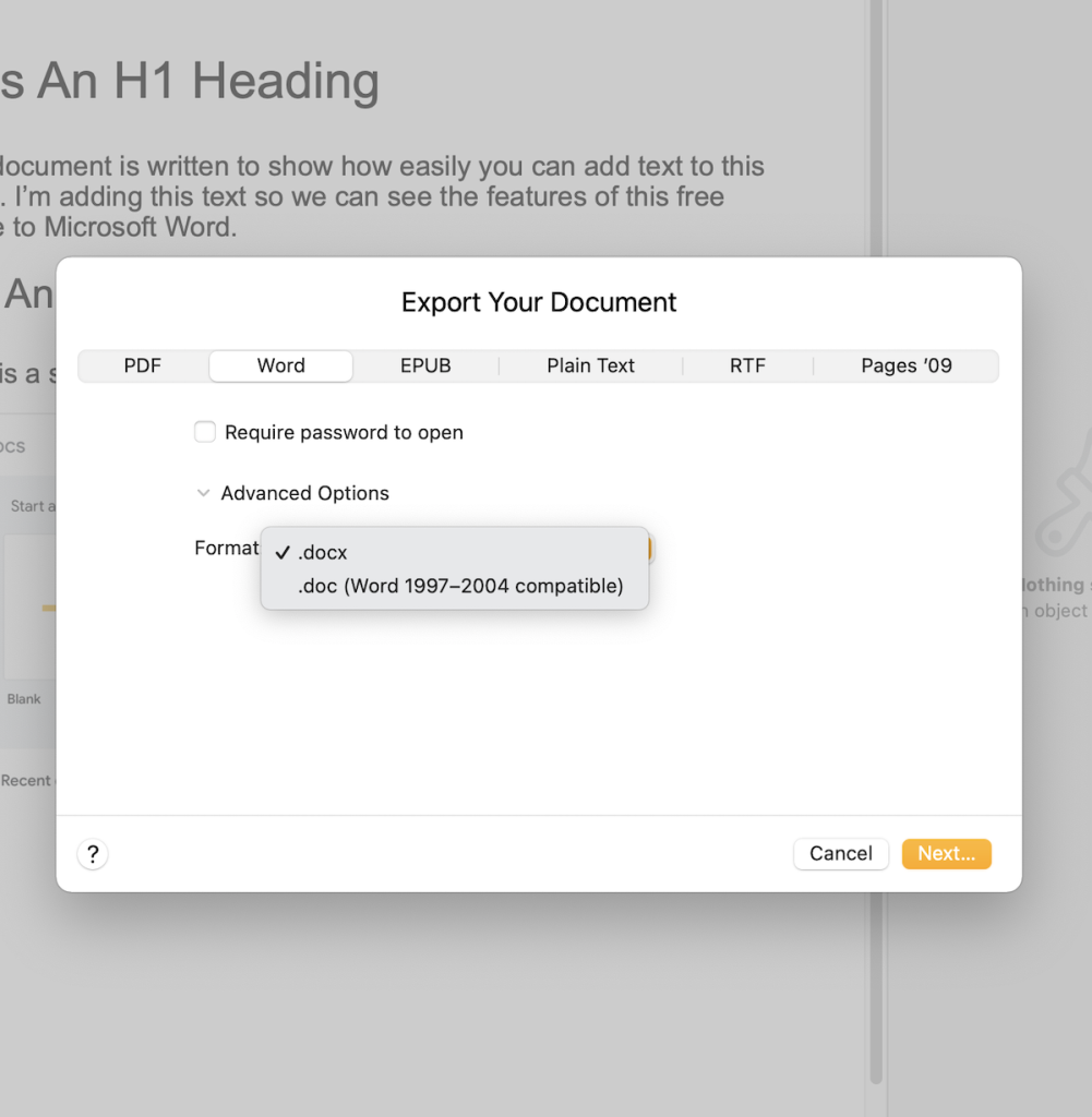 Export menu for Apple Pages.