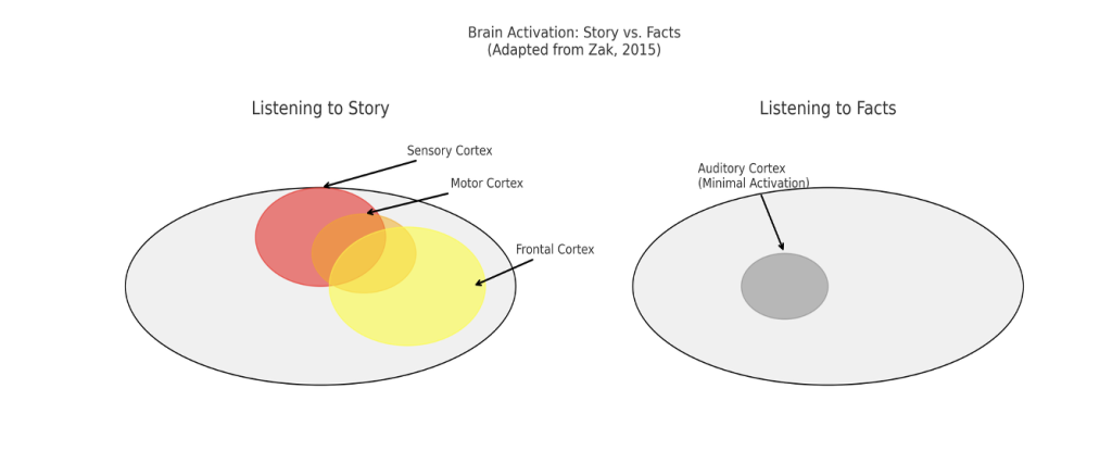 A visual representation of how stories engage more of the brain than facts and figures.