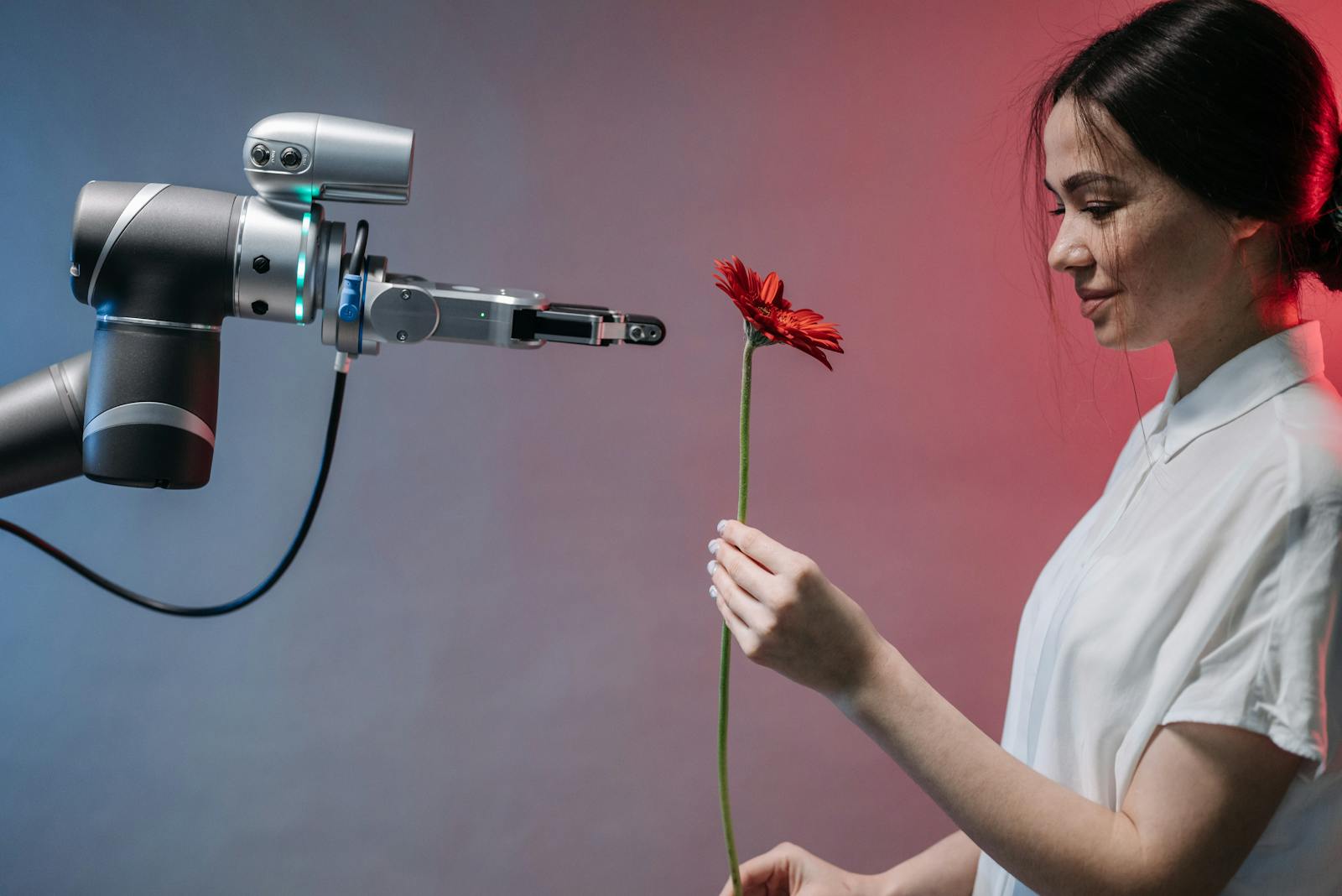 A woman receives a red flower from a robotic arm symbolizing harmony of technology and nature.