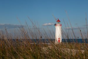 lighthouse, beach, sea, ocean, griffiths island lighthouse, port fairy, landscape, scenery, victoria, nature